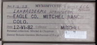 Image Associated With the Occurence